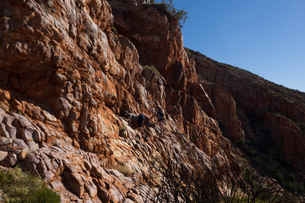 dsc05156