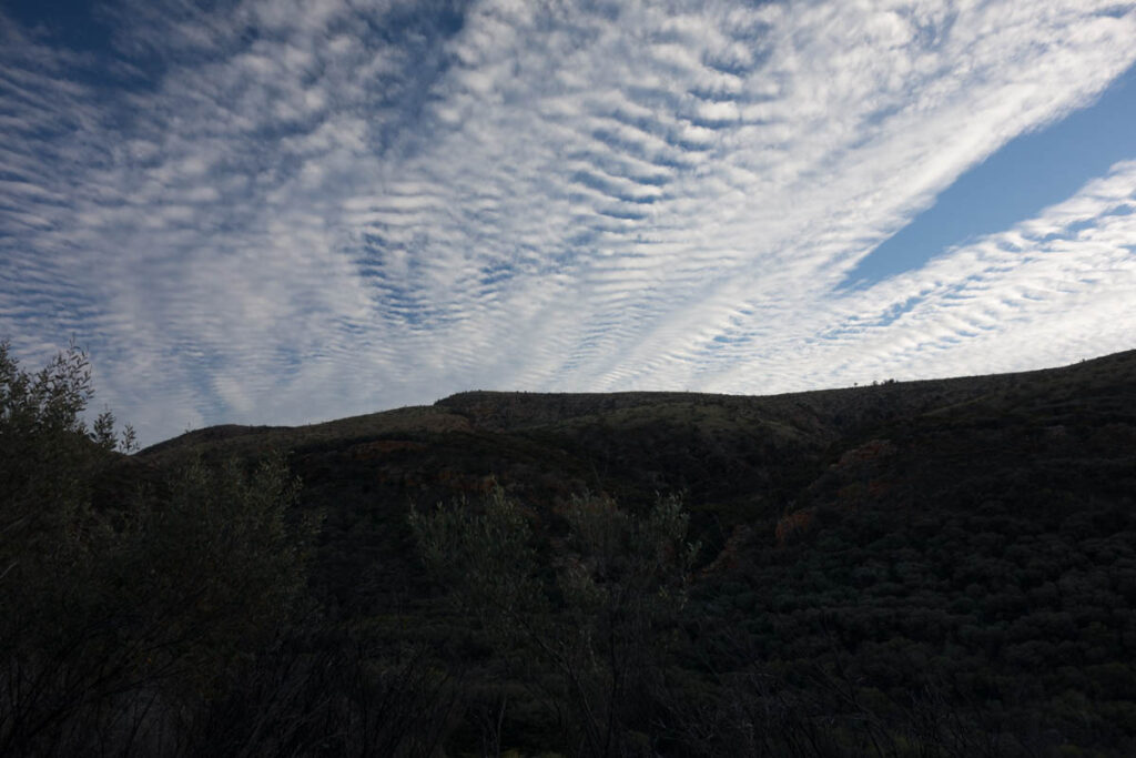 dsc05240
