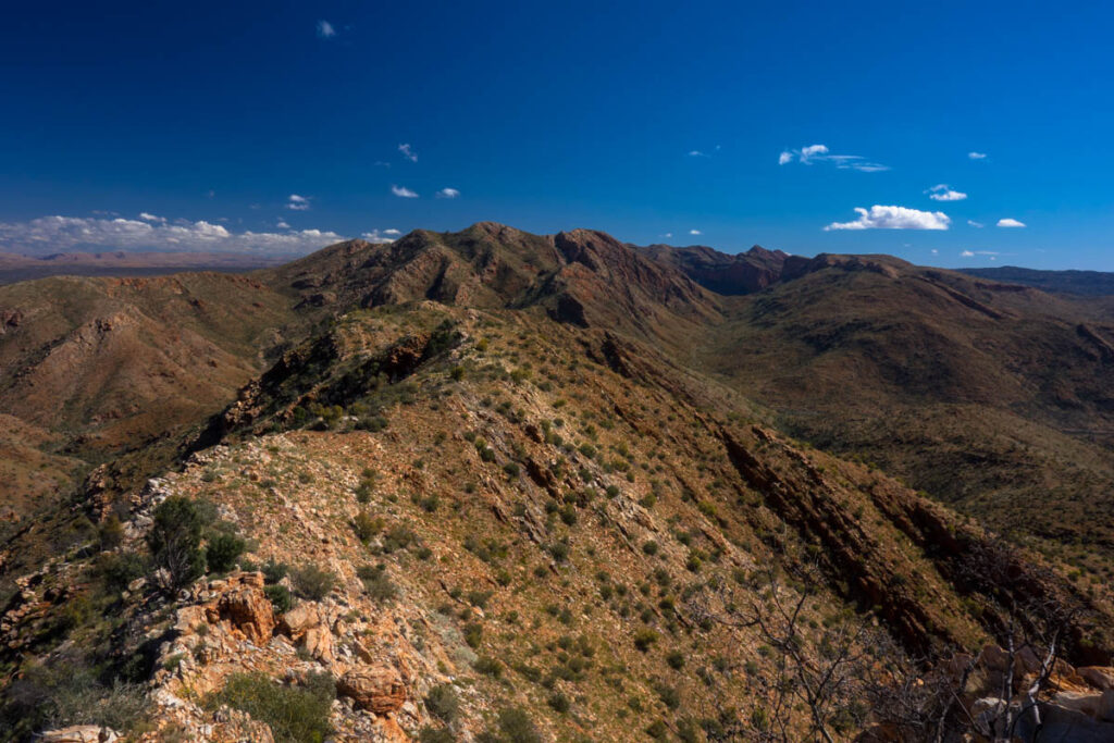 Razorback Ridge Larapinta TRail